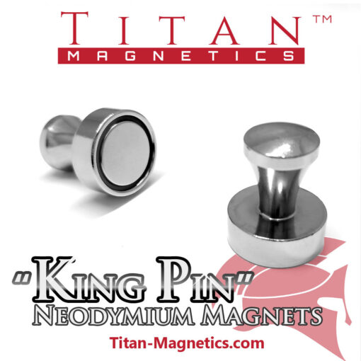 Steel case Pin Neodymium Magnets 2pcs King Pin